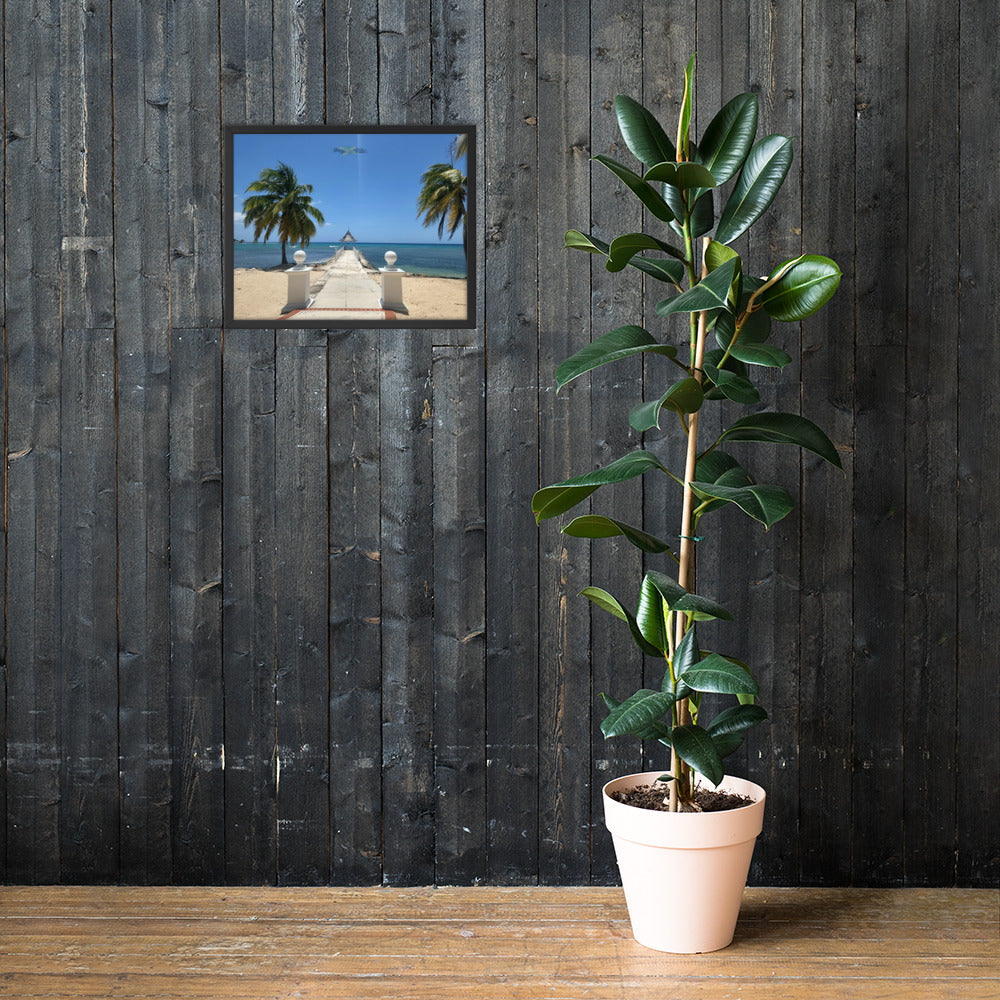 Half Moon's Crown - Picture of Jamaica black 16 X 20