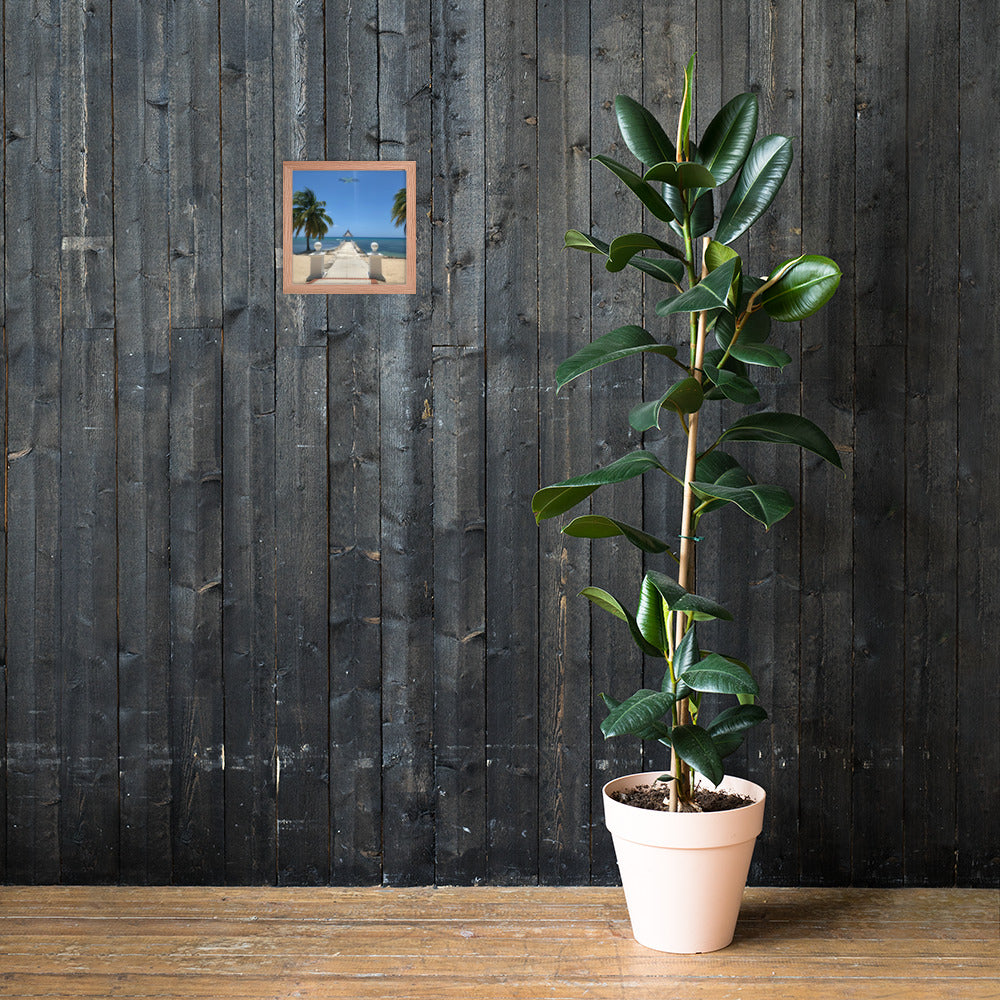 Half Moon's Crown - Picture of Jamaica red oak 10 x 10