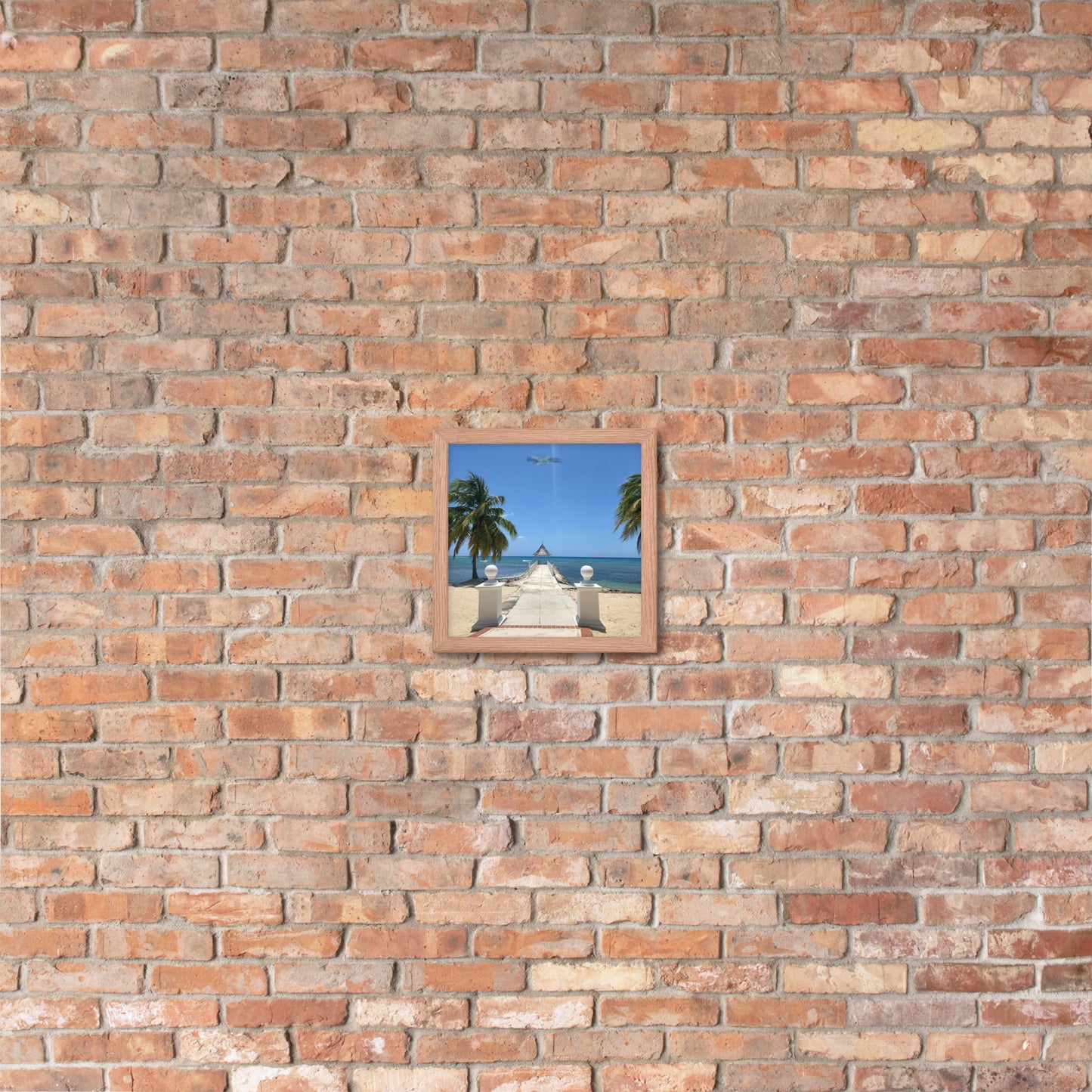 Half Moon's Crown - Picture of Jamaica red oak 10 x 10