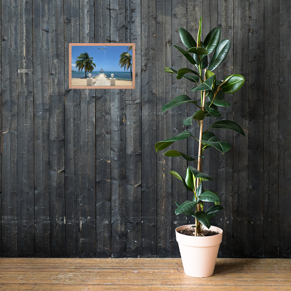 Half Moon's Crown - Picture of Jamaica red oak 12 x 18