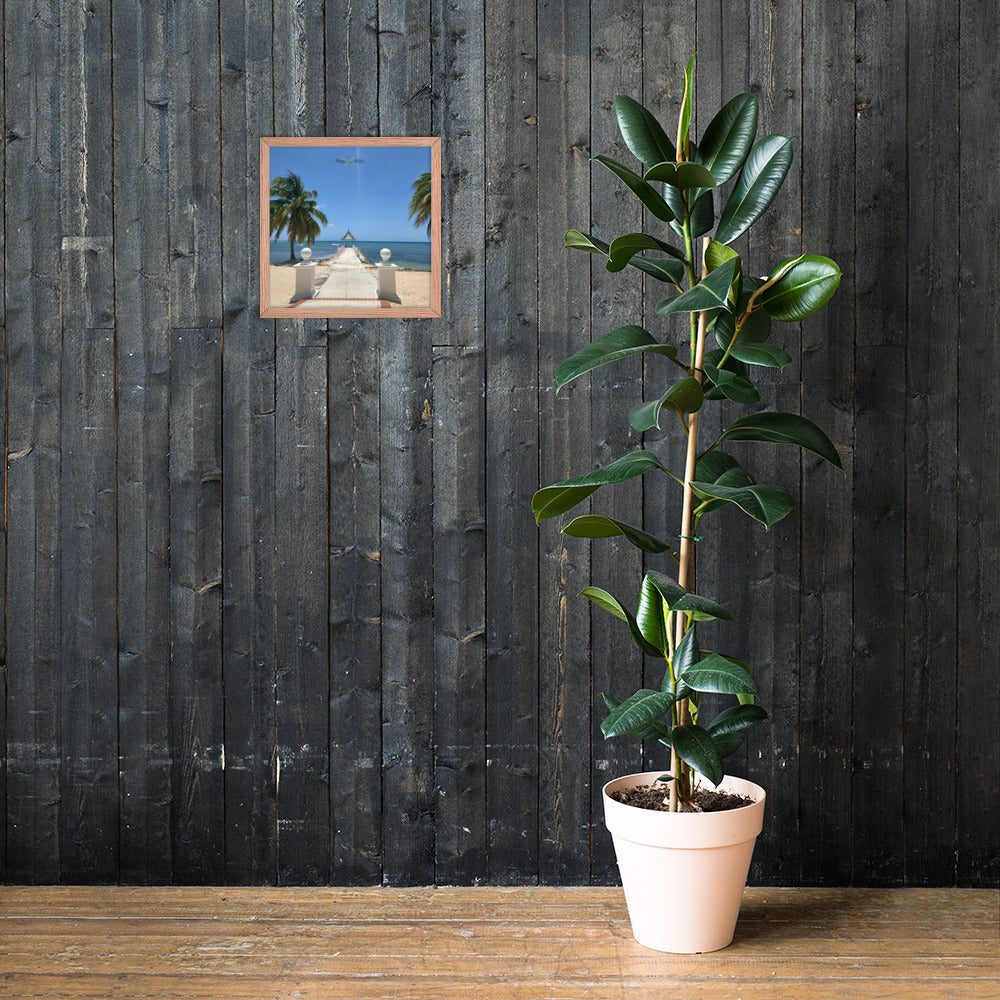 Half Moon's Crown - Picture of Jamaica red oak 14 x 14