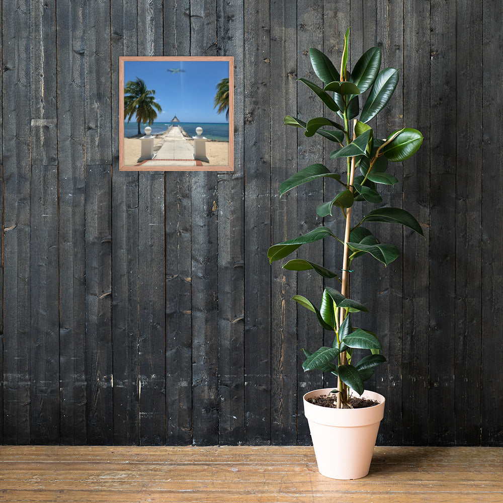 Half Moon's Crown - Picture of Jamaica red oak 18 x 18