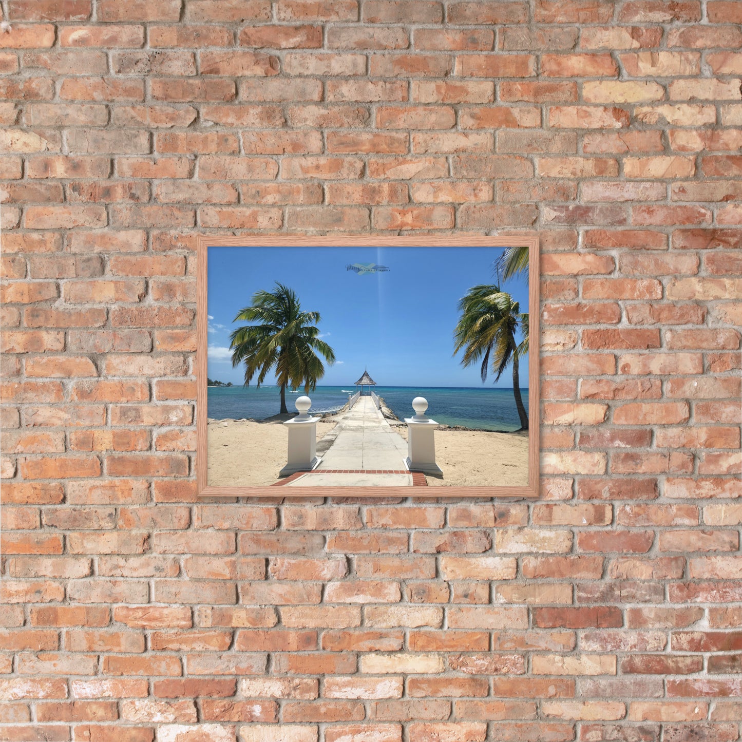 Half Moon's Crown - Picture of Jamaica red oak 18 x 24