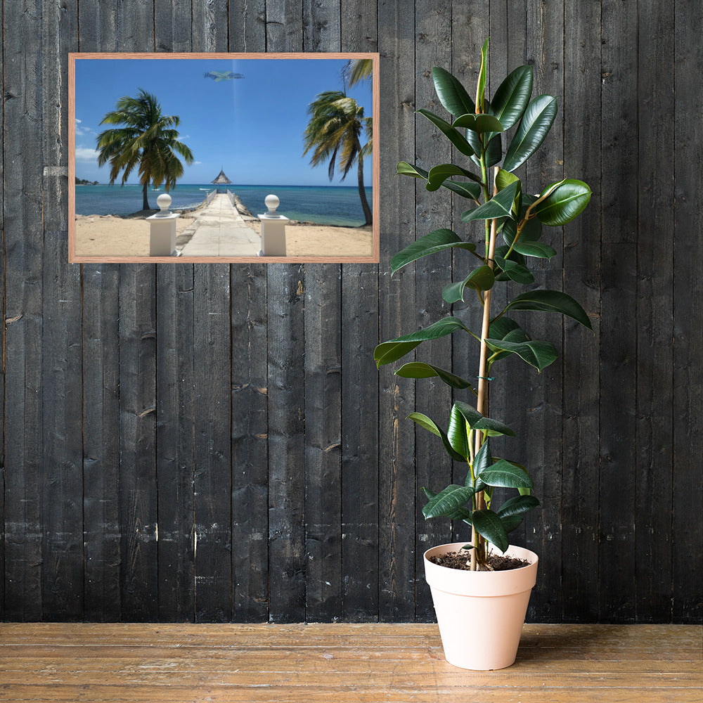Half Moon's Crown - Picture of Jamaica red oak 24 x 36
