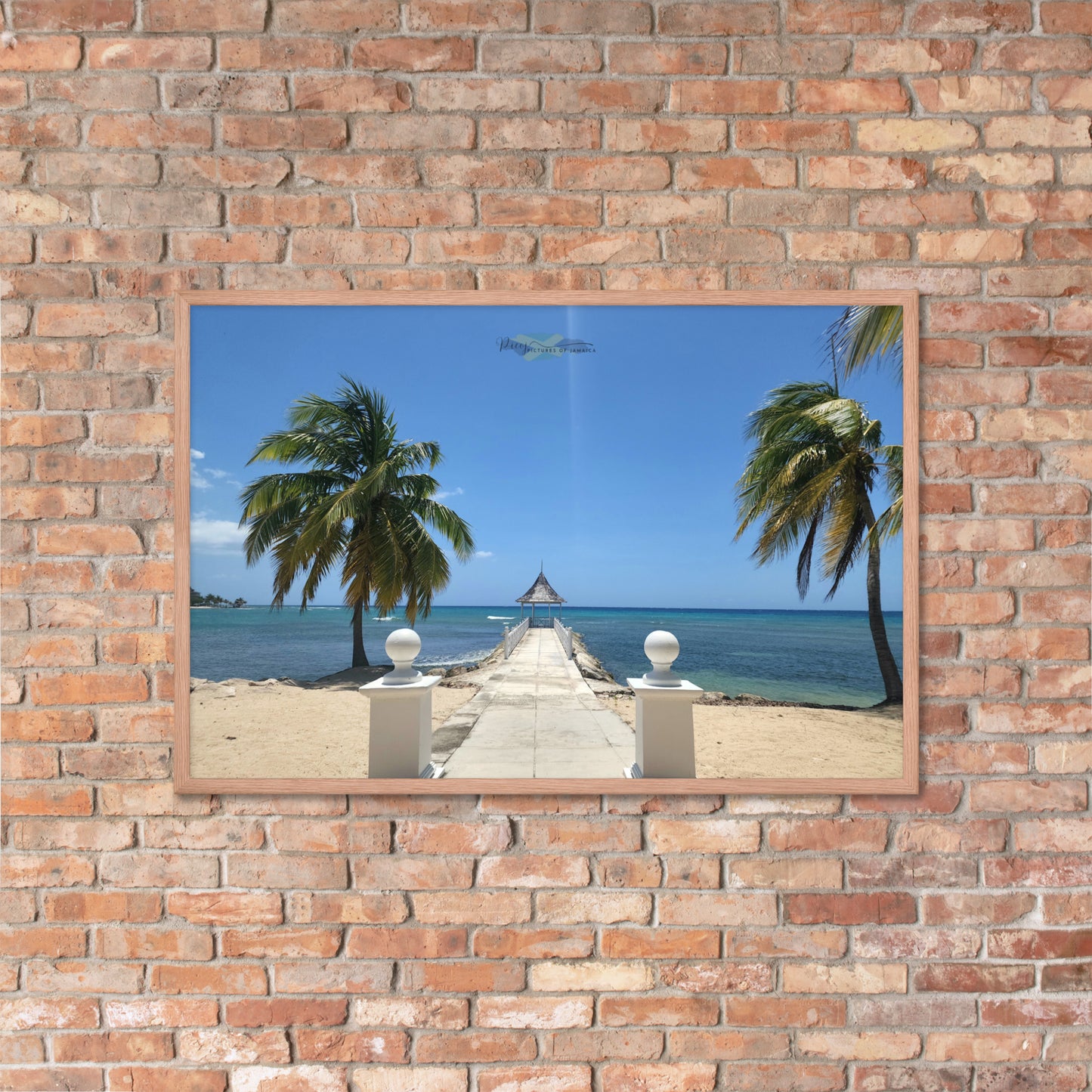 Half Moon's Crown - Picture of Jamaica red oak 24 x 36