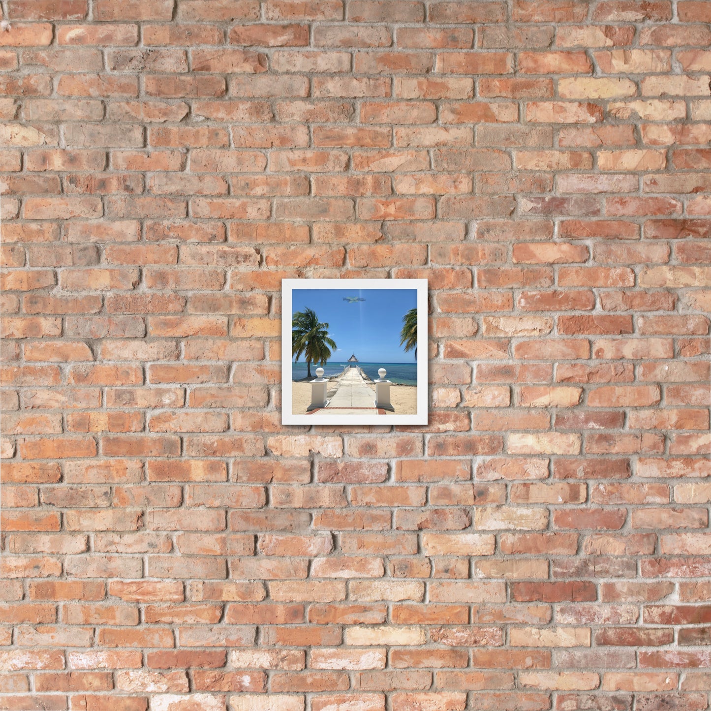 Half Moon's Crown - Picture of Jamaica white 10 x 10