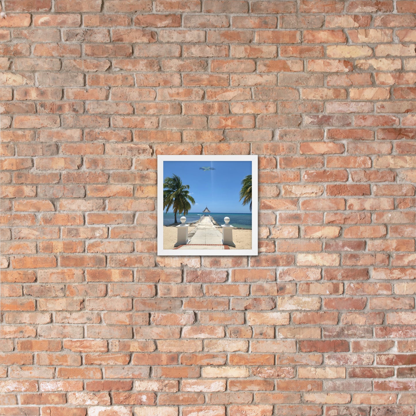 Half Moon's Crown - Picture of Jamaica white 12 x 12