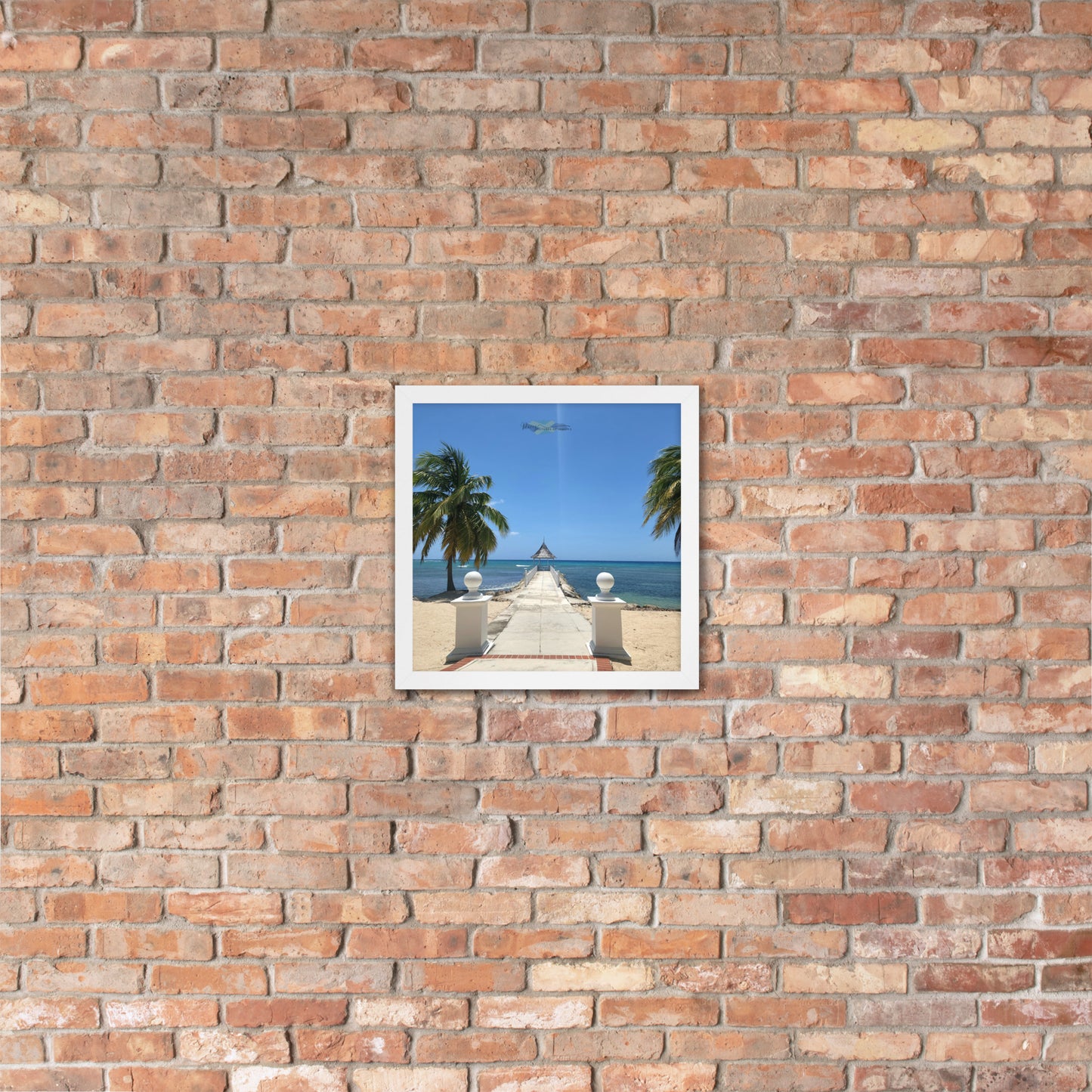Half Moon's Crown - Picture of Jamaica white 14 x 14