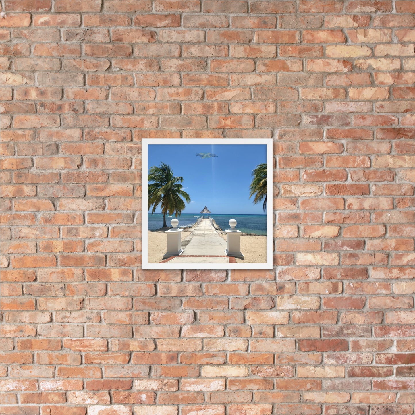 Half Moon's Crown - Picture of Jamaica white 16 x 16