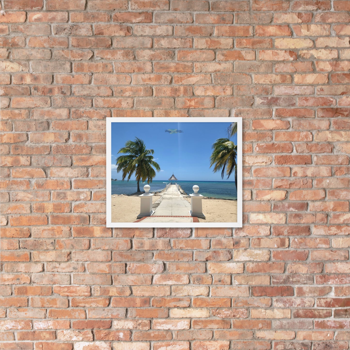 Half Moon's Crown - Picture of Jamaica white 16 x 20