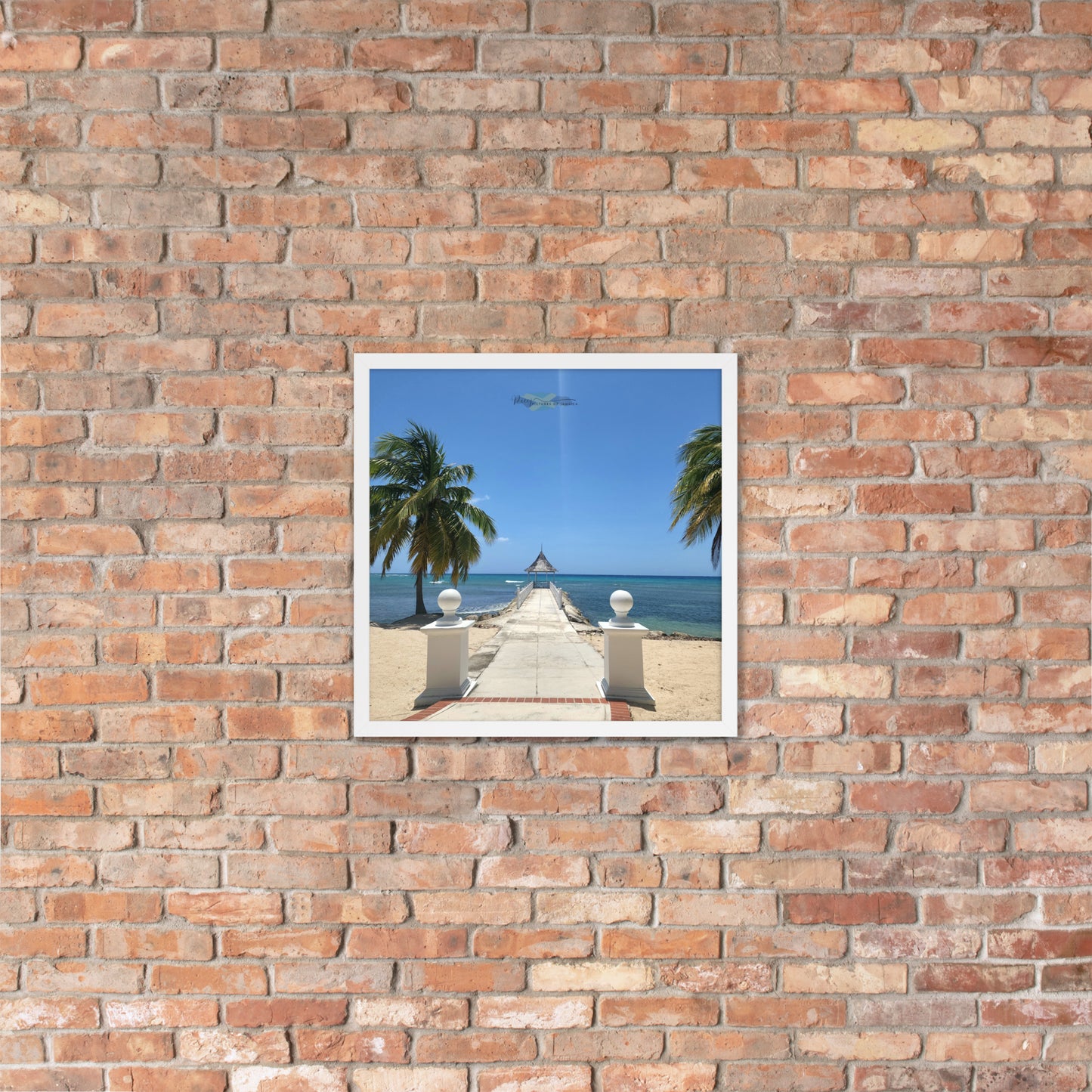 Half Moon's Crown - Picture of Jamaica white 18 x 18
