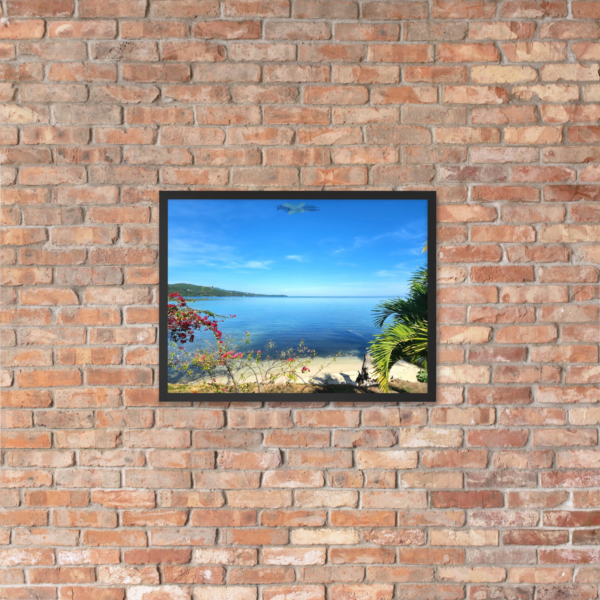 In My Garden - Picture of Jamaica 18 x 24