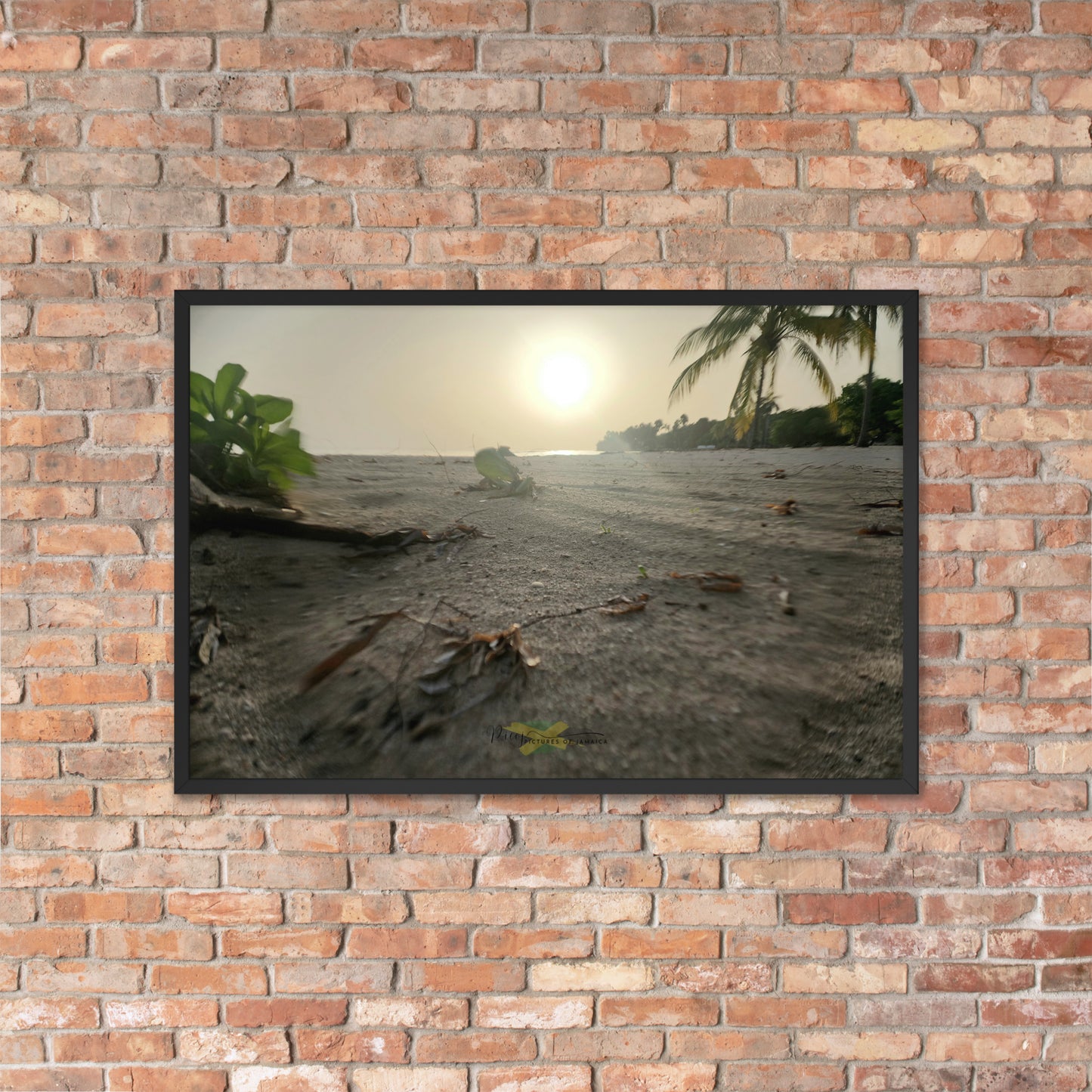 A Crab's Eye View - Picture of Jamaica