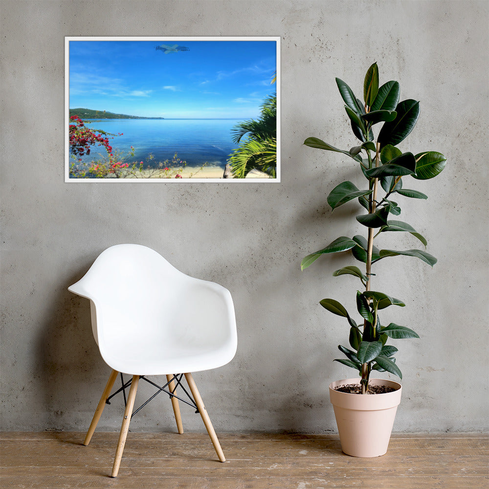 In My Garden - Picture of Jamaica